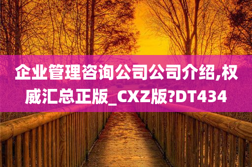 企业管理咨询公司公司介绍,权威汇总正版_CXZ版?DT434