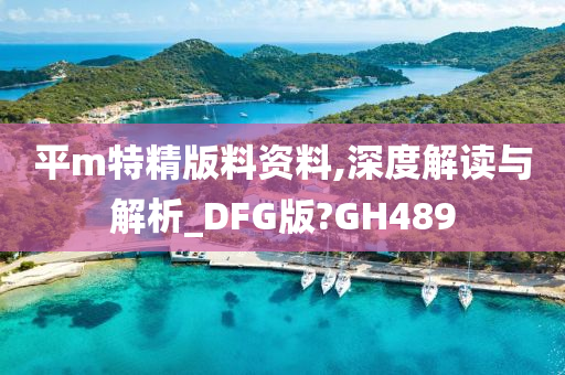 平m特精版料资料,深度解读与解析_DFG版?GH489