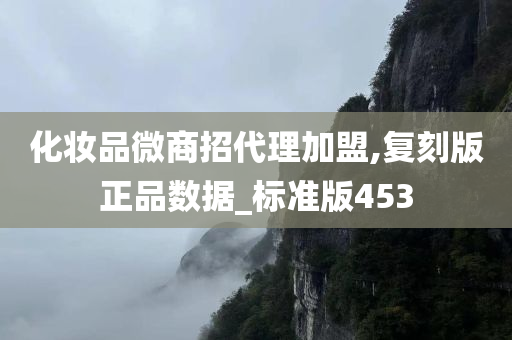 化妆品微商招代理加盟,复刻版正品数据_标准版453