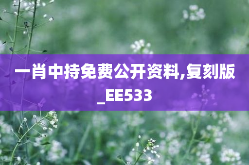 一肖中持免费公开资料,复刻版_EE533