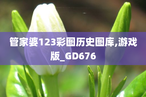 管家婆123彩图历史图库,游戏版_GD676