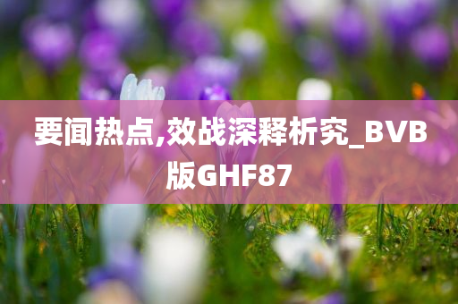 要闻热点,效战深释析究_BVB版GHF87