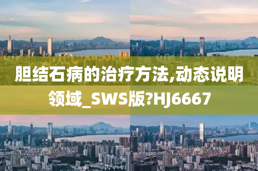 胆结石病的治疗方法,动态说明领域_SWS版?HJ6667