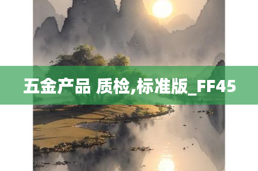 五金产品 质检,标准版_FF45