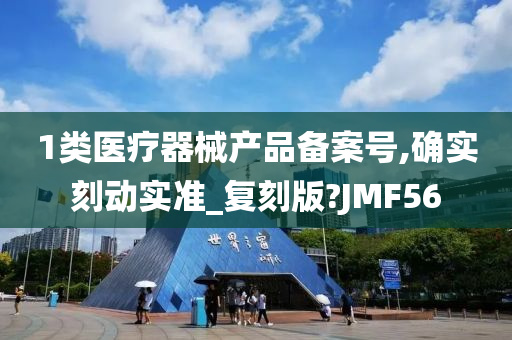 1类医疗器械产品备案号,确实刻动实准_复刻版?JMF56