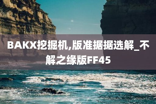 BAKX挖掘机,版准据据选解_不解之缘版FF45