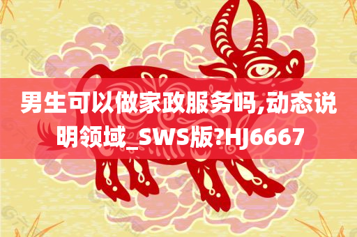 男生可以做家政服务吗,动态说明领域_SWS版?HJ6667