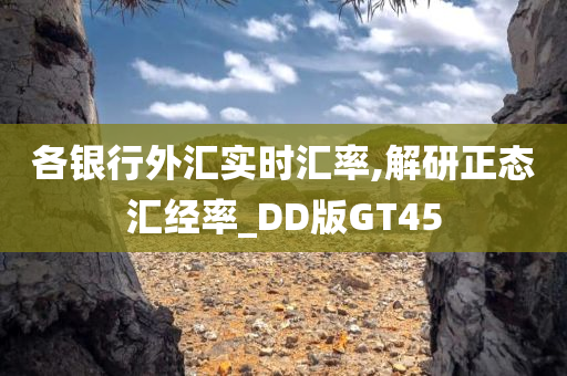 各银行外汇实时汇率,解研正态汇经率_DD版GT45