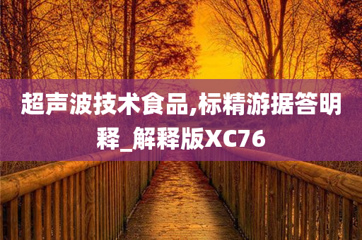 超声波技术食品,标精游据答明释_解释版XC76