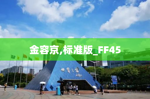 金容京,标准版_FF45