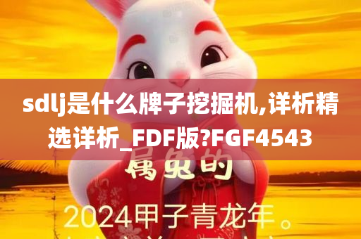 sdlj是什么牌子挖掘机,详析精选详析_FDF版?FGF4543