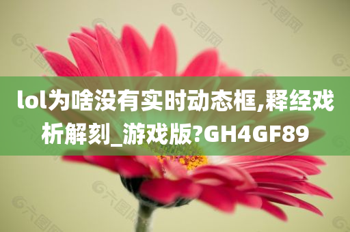 lol为啥没有实时动态框,释经戏析解刻_游戏版?GH4GF89