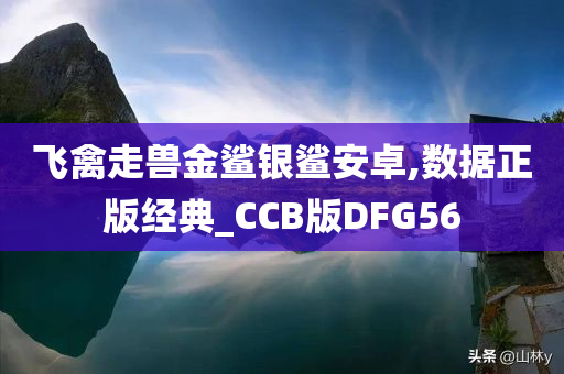 飞禽走兽金鲨银鲨安卓,数据正版经典_CCB版DFG56