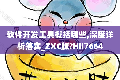 软件开发工具概括哪些,深度详析落实_ZXC版?HII7664