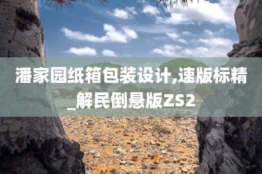 潘家园纸箱包装设计,速版标精_解民倒悬版ZS2