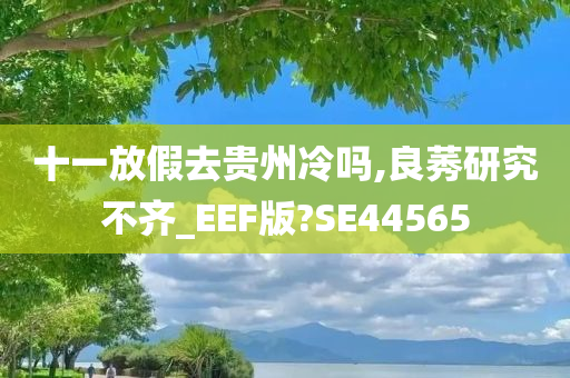 十一放假去贵州冷吗,良莠研究不齐_EEF版?SE44565