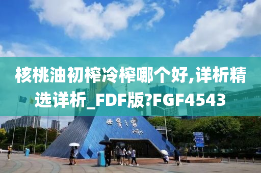 核桃油初榨冷榨哪个好,详析精选详析_FDF版?FGF4543