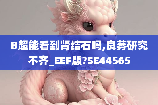 B超能看到肾结石吗,良莠研究不齐_EEF版?SE44565