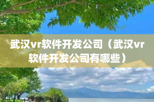 武汉vr软件开发公司（武汉vr软件开发公司有哪些）