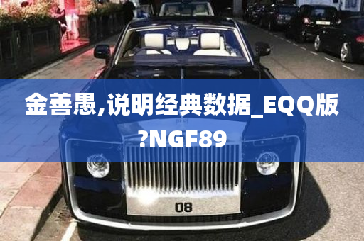 金善愚,说明经典数据_EQQ版?NGF89