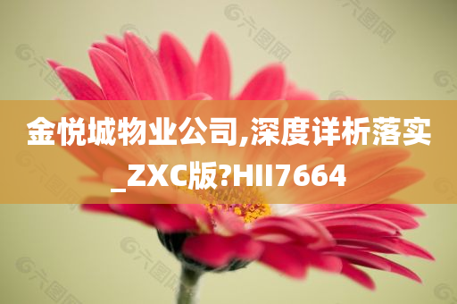 金悦城物业公司,深度详析落实_ZXC版?HII7664