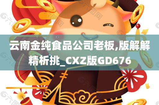 云南金纯食品公司老板,版解解精析挑_CXZ版GD676