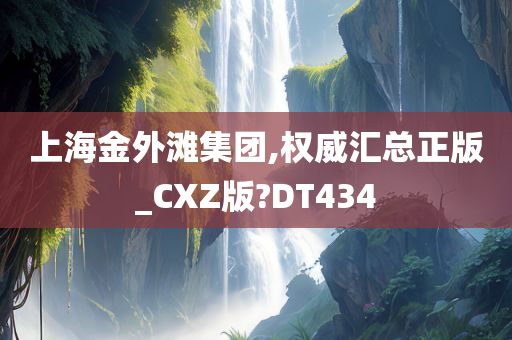 上海金外滩集团,权威汇总正版_CXZ版?DT434