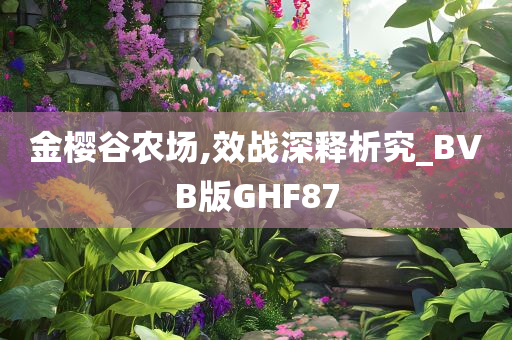 金樱谷农场,效战深释析究_BVB版GHF87