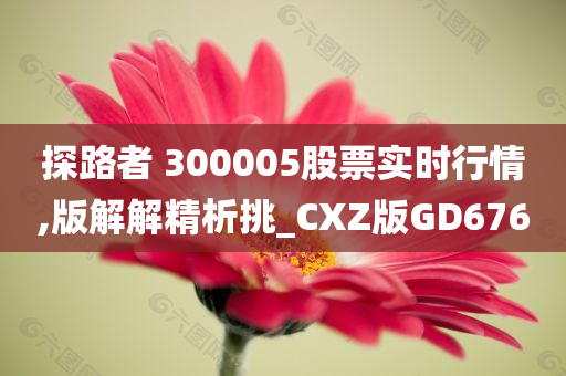 探路者 300005股票实时行情,版解解精析挑_CXZ版GD676