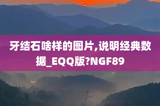 牙结石啥样的图片,说明经典数据_EQQ版?NGF89