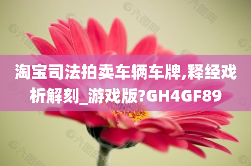 淘宝司法拍卖车辆车牌,释经戏析解刻_游戏版?GH4GF89