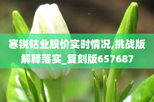 寒锐钴业股价实时情况,挑战版解释落实_复刻版657687