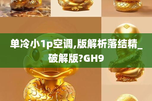 单冷小1p空调,版解析落结精_破解版?GH9