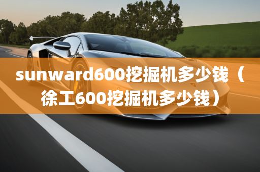 sunward600挖掘机多少钱（徐工600挖掘机多少钱）