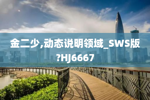 金二少,动态说明领域_SWS版?HJ6667