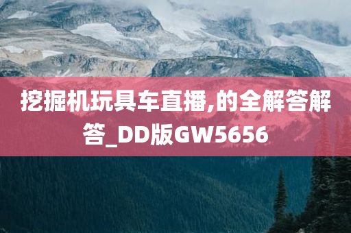 挖掘机玩具车直播,的全解答解答_DD版GW5656