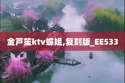 金芦笙ktv蝶姐,复刻版_EE533