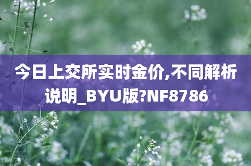 今日上交所实时金价,不同解析说明_BYU版?NF8786