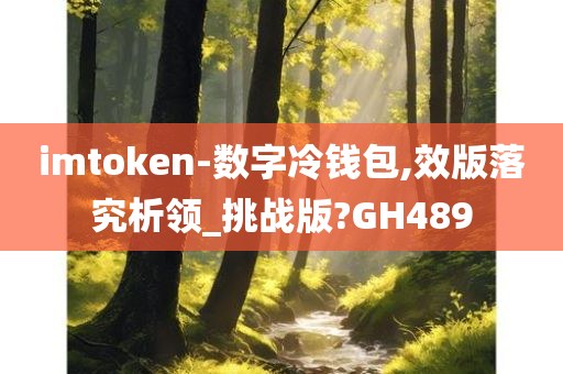 imtoken-数字冷钱包,效版落究析领_挑战版?GH489