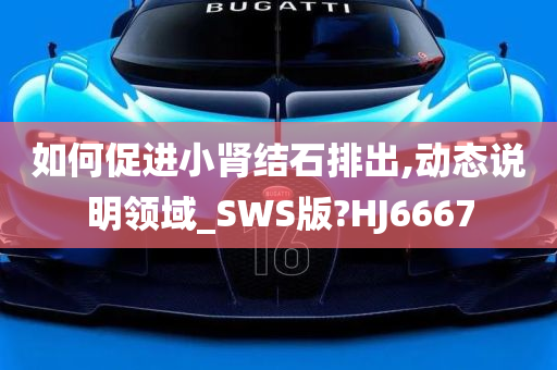 如何促进小肾结石排出,动态说明领域_SWS版?HJ6667