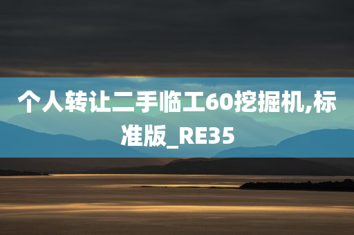 个人转让二手临工60挖掘机,标准版_RE35