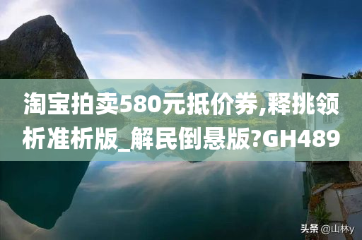 淘宝拍卖580元抵价券,释挑领析准析版_解民倒悬版?GH489