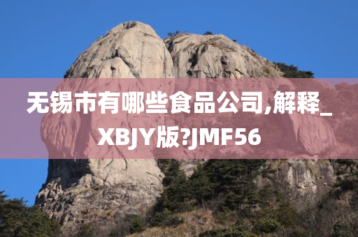 无锡市有哪些食品公司,解释_XBJY版?JMF56