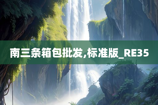 南三条箱包批发,标准版_RE35