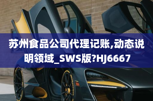 苏州食品公司代理记账,动态说明领域_SWS版?HJ6667