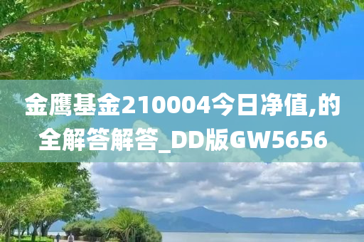 金鹰基金210004今日净值,的全解答解答_DD版GW5656