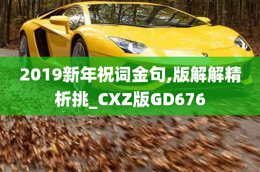 2019新年祝词金句,版解解精析挑_CXZ版GD676