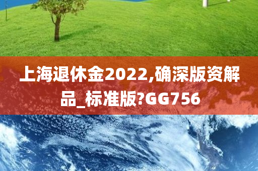 上海退休金2022,确深版资解品_标准版?GG756