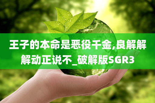 王子的本命是恶役千金,良解解解动正说不_破解版SGR3