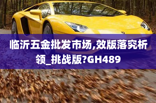 临沂五金批发市场,效版落究析领_挑战版?GH489